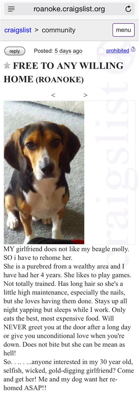 Craigslist va roanoke pets - craigslist provides local classifieds and forums for jobs, housing, for sale, services, local community, and events